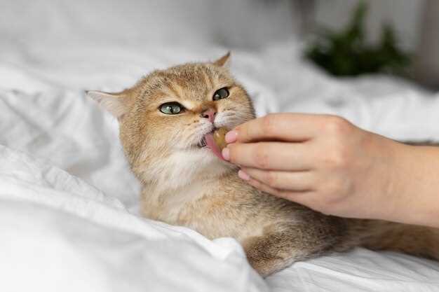 Improves appetite in cats
