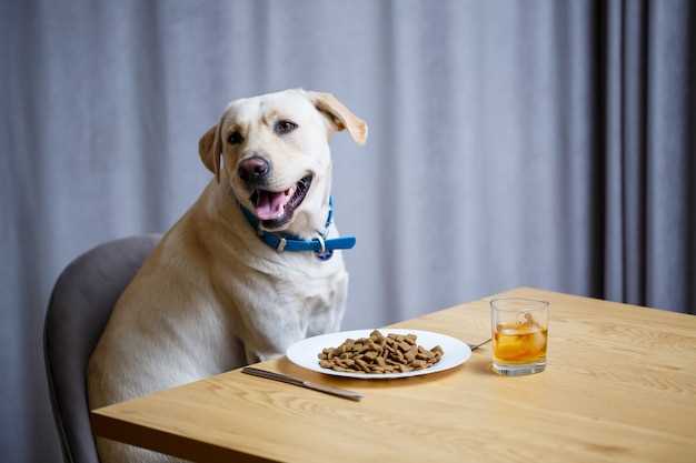 Mirtazapine Canine Appetite
