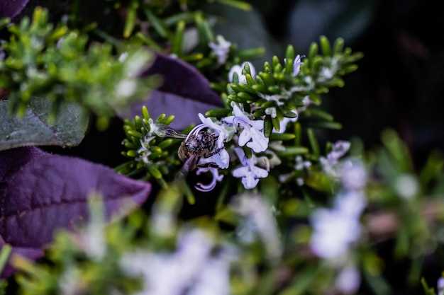 undefinedWhat are withdrawal symptoms?</strong>“></p>
<p>Common Mirtazapine withdrawal symptoms include dizziness, insomnia, nausea, and irritability. These symptoms can be uncomfortable, but they are typically temporary and will improve over time.</p>
<p><em>It is important to talk to your doctor if you are experiencing withdrawal symptoms from Mirtazapine. Your doctor can provide guidance on how to manage the symptoms and support you through the process.</em></p>
<p><img decoding=