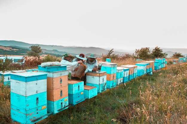 Seeking medical help for hives