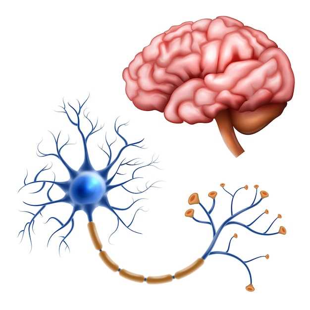 Mirtazapine central nervous system