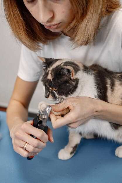 Mirtazapine dose in cats