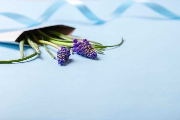 Mirtazapine for bipolar ii