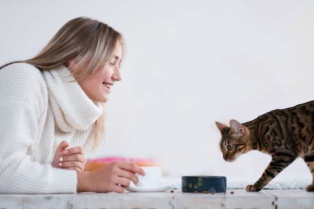 Mirtazapine for cats reviews