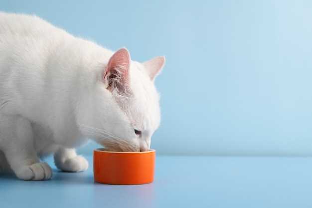 Mirtazapine transdermal for cats