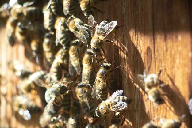 Mirtazapine withdrawal hives