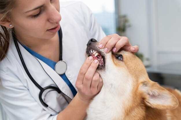 What is mirtazapine used for in dogs